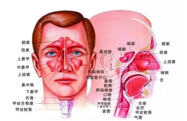 扬州炏焱中医：中医如何治疗鼻甲肥大