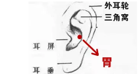 广州淳和中医门诊：（医案）中药治疗多年耳疾