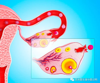 沧州御生堂：卵巢肿瘤良性和恶性区分