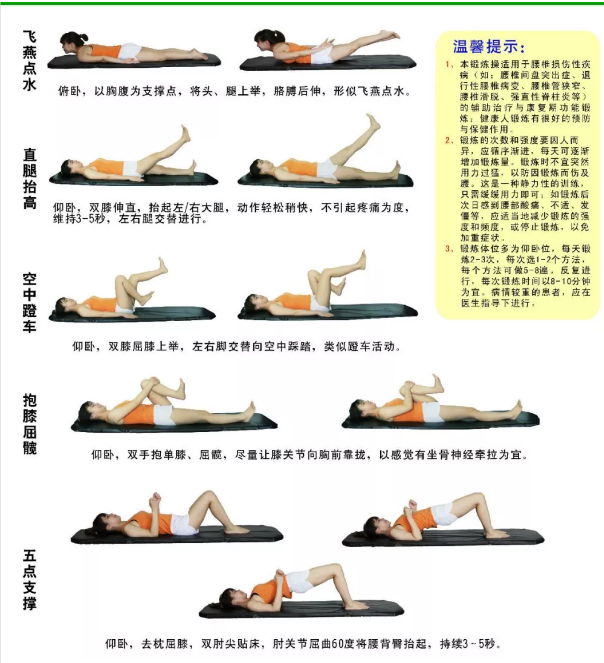 蚌埠汇名堂：颈腰背肌锻炼操，坚持做，有效！