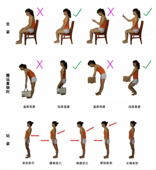 蚌埠汇名堂：颈腰背肌锻炼操，坚持做，有效！