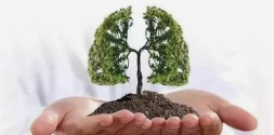 广杏堂武汉中医：注重养肺有讲究！几个小方法助你养好肺