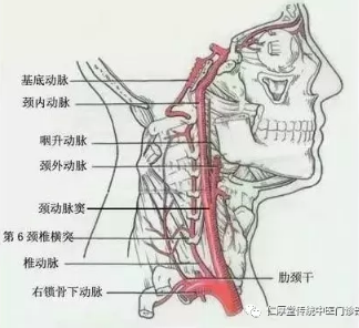石家庄新华仁厚堂：颈椎病的并发症的危害