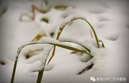 衡阳市怀仁堂：特质熬配中药熏蒸，大雪节气给您一个暖冬！