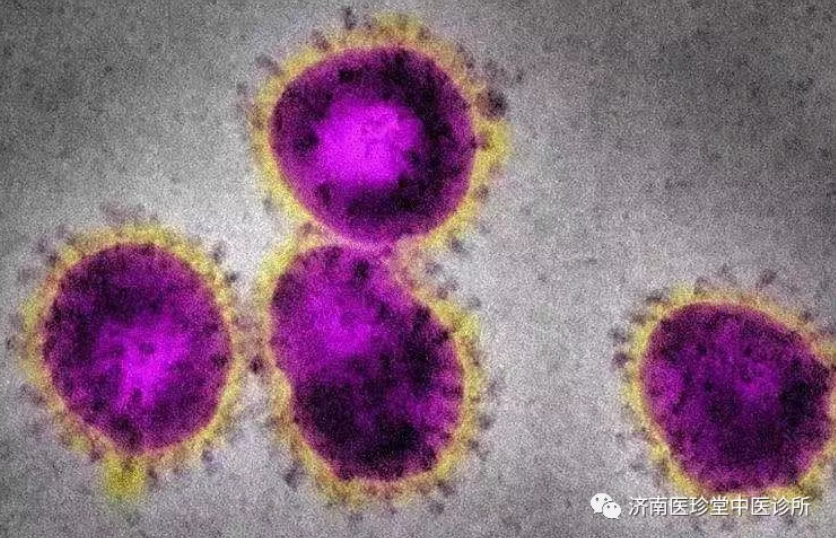 济南医珍堂：预防新型冠状病毒的注意事项