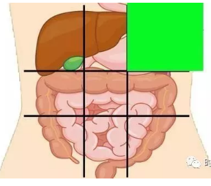 焦作国医堂医院：肚子痛到底是哪里痛？一张图了解腹部器官！