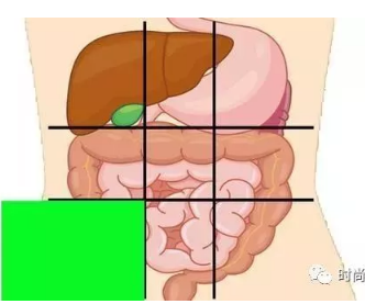 焦作国医堂医院：肚子痛到底是哪里痛？一张图了解腹部器官！