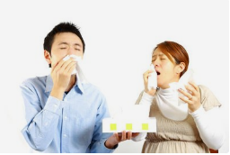 鄂尔多斯市仕博中医：鼻炎，你真的了解吗？（系列五）