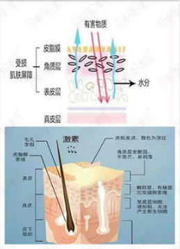 牡丹江赵桂荣中医：拯救激素脸，这6个方法很管用！