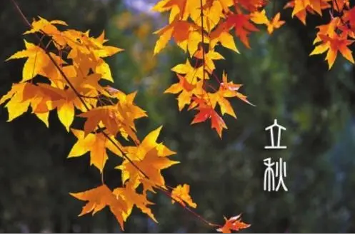 北京同春堂： 皮肤病患者该如何贴秋膘？