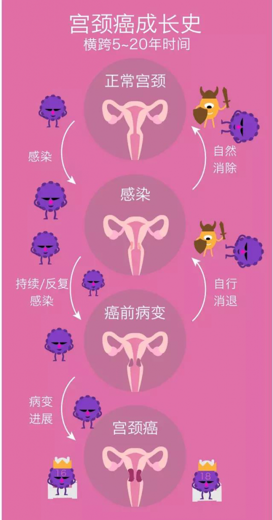 三明列东中医医院：HPV感染别慌，带你正确认识HPV