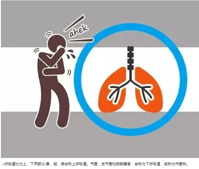 广州淳和中医馆：咳嗽不止？中医帮您斩草除根，一身轻松！