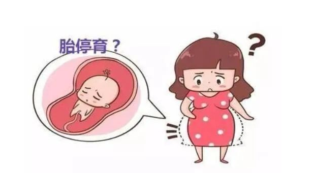 郑州管城康氏中医馆：备孕2胎，出现2次不发育（医案）