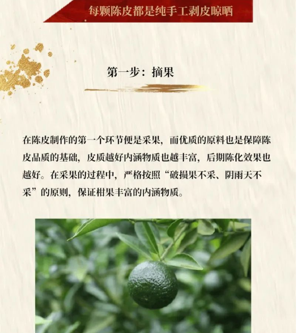 珠海澳珠中医诊所：真正的养生茶—新会陈皮