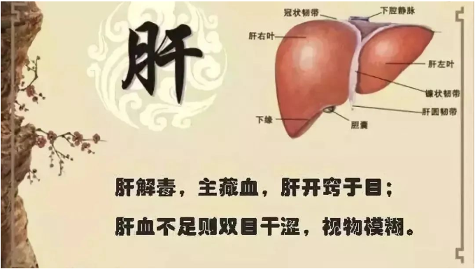 深圳涵济堂中医门诊部：关红雨针药结合治疗视物模糊