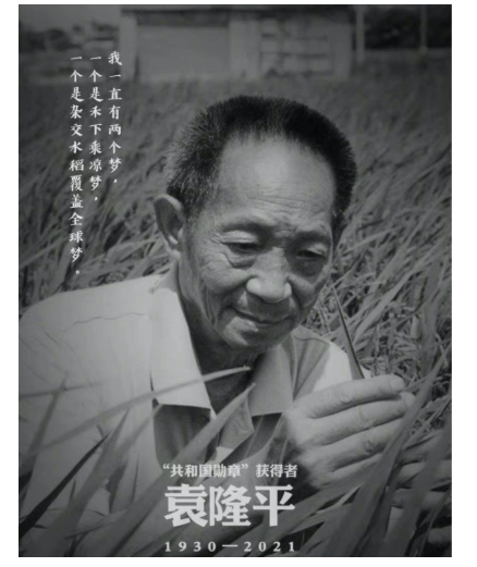 武汉梅竹青中医骨伤科诊所：袁隆平院士从跌倒到去世仅2个多月！为什么它是老年人的“头号杀手”？