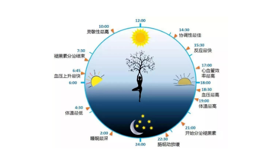 武汉首颐堂中医门诊部：睡眠，对内分泌的影响