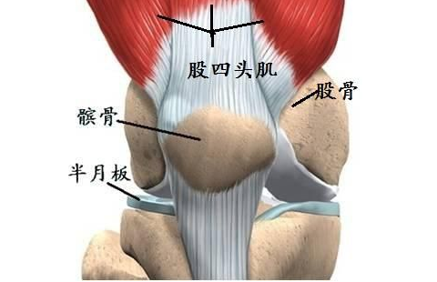 武汉首颐堂中医门诊部：出现这3个标志，说明你膝关节软骨已退化，避免手术你要这么做