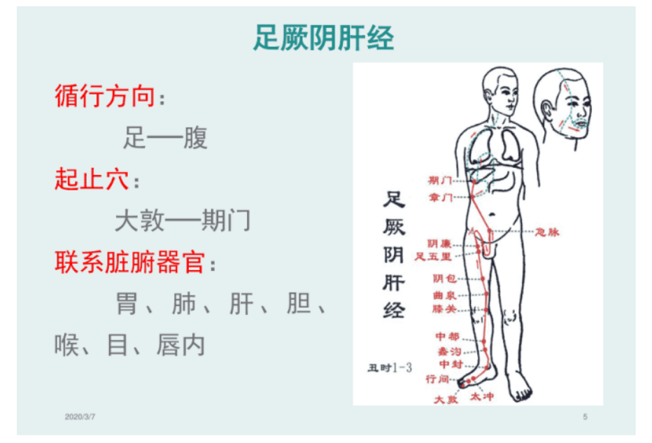 济南麒医堂中医门诊部：结节、肌瘤是如何形成的呢？