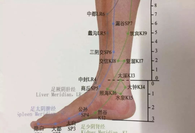 上海素问轩中医诊所：泡脚是祛除病根的最好时机，有湿疹、脾胃病的人千万不要错过！