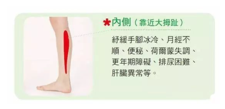 广东深圳悦莱弘康中医馆：凡是得癌者都是小腿经络不通！按摩小腿肚5大重点，来了