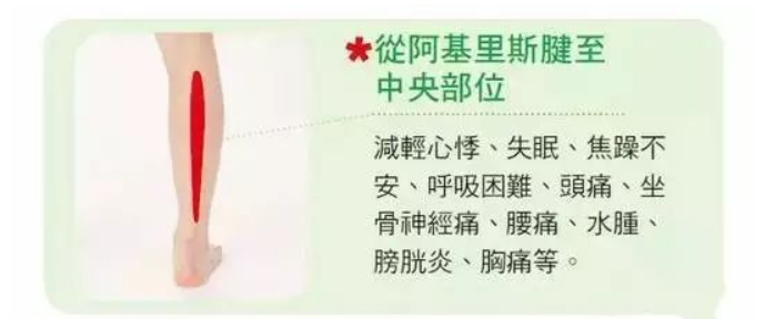 广东深圳悦莱弘康中医馆：凡是得癌者都是小腿经络不通！按摩小腿肚5大重点，来了