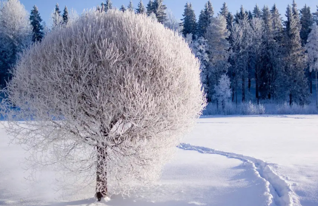 中医的智慧：冬季如何祛一身寒气？